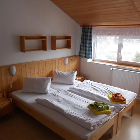 Kamzik Guest house