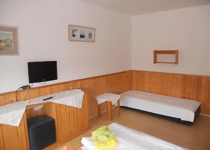 Kamzik Guest house